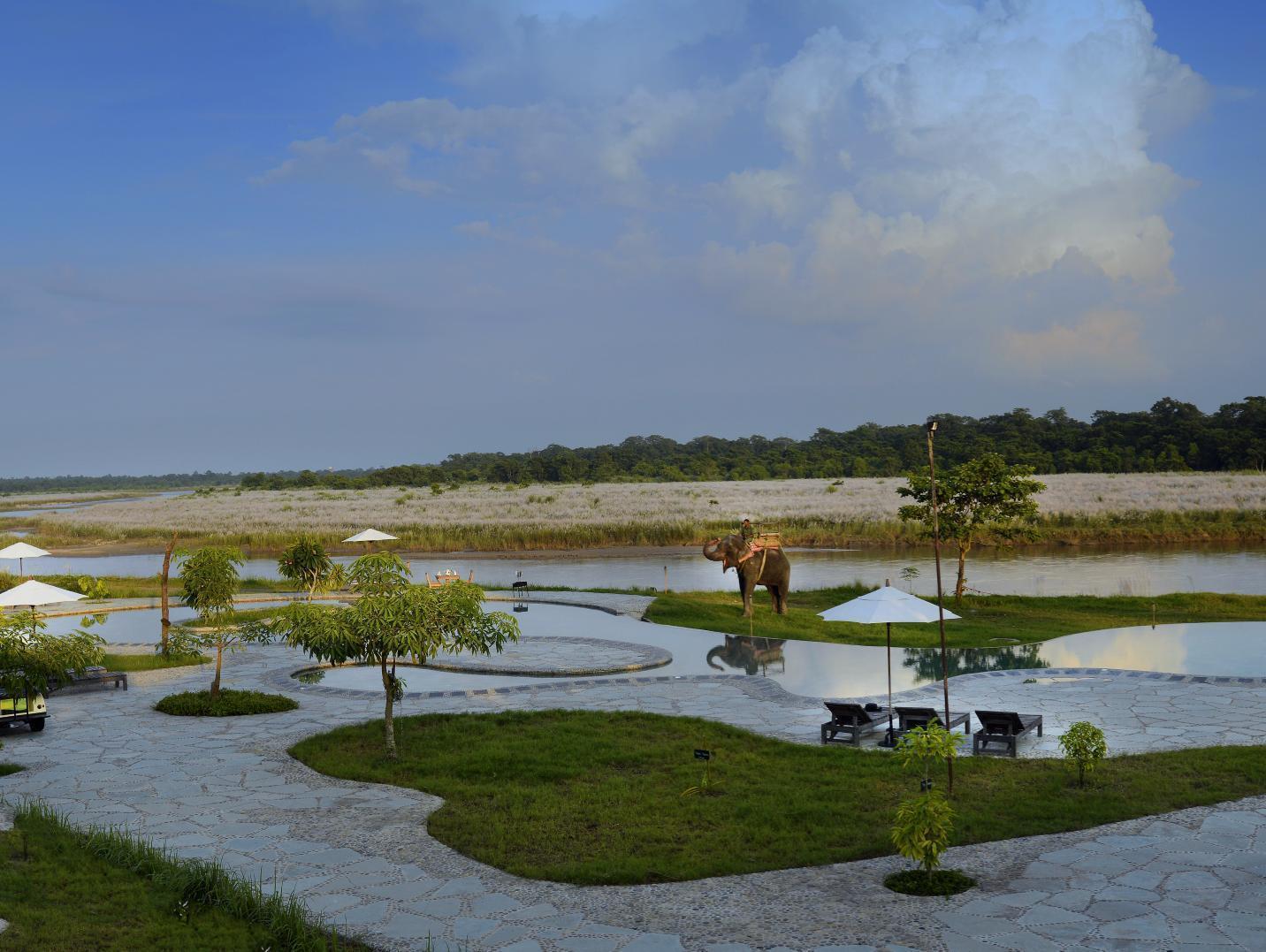 Barahi Jungle Lodge Meghauli Luaran gambar