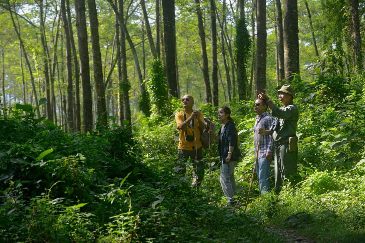 Barahi Jungle Lodge Meghauli Luaran gambar