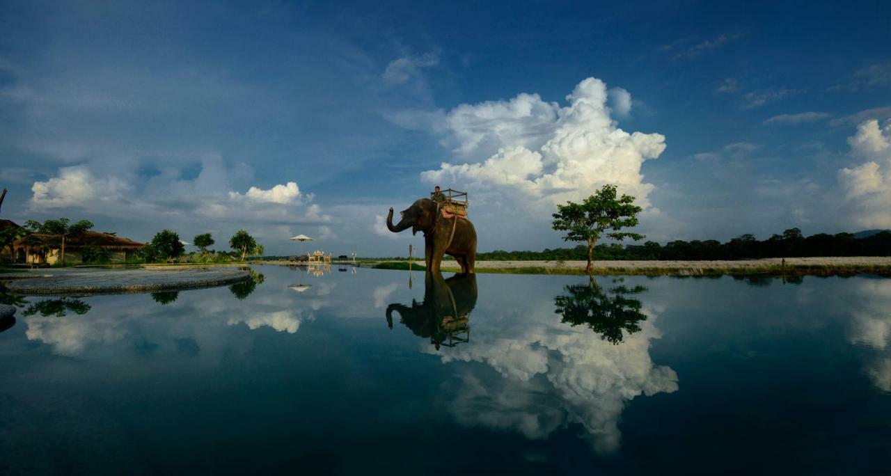Barahi Jungle Lodge Meghauli Luaran gambar